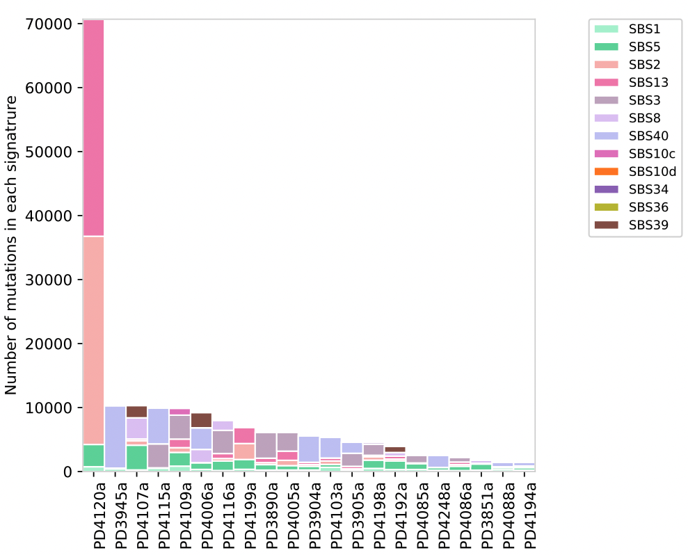 Assignment_Solution_Activity_Plots