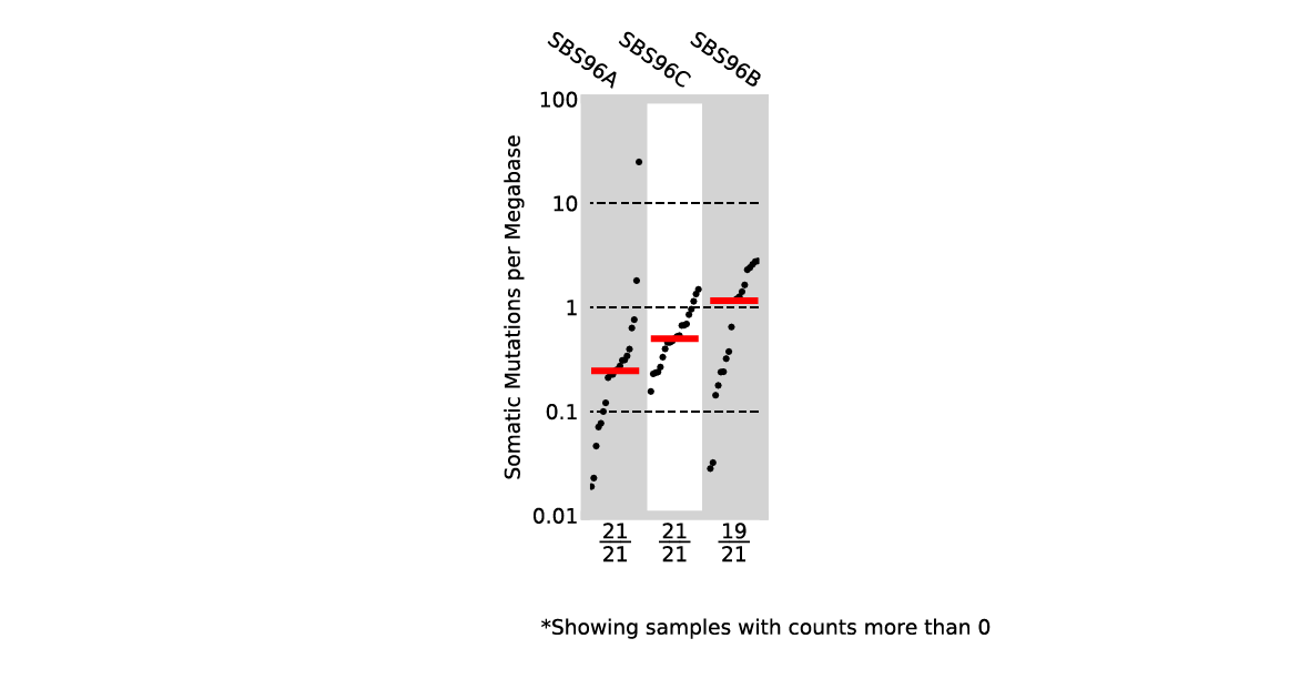 SBS96_S3_TMB_NMF_plot.pdf
